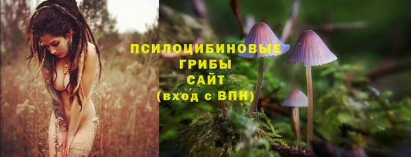 ПСИЛОЦИБИНОВЫЕ ГРИБЫ Усинск